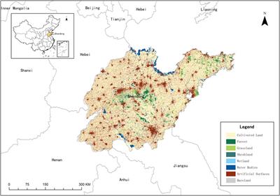 Dynamic changes of cultivated land use and grain production in the lower reaches of the Yellow River based on GlobeLand30